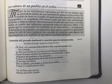 Cargar imagen en el visor de la galería, La Biblia en orden cronológico RV60 (Imitación Piel)
