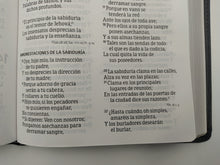 Cargar imagen en el visor de la galería, Biblia Letra Gigante Negro Piel Fabricada
