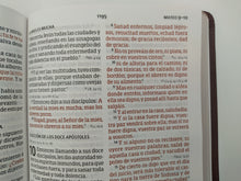 Load image into Gallery viewer, Biblia RVR60 Letra Gigante Marrón
