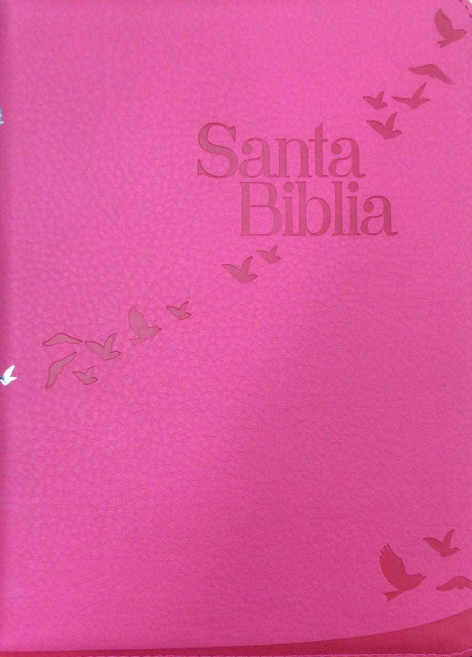 Biblia Rosa Gaviotas RVR60 Cierre