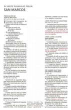 Load image into Gallery viewer, Santa Biblia Edición Artística Tapa Dura Tela Floral RVR60
