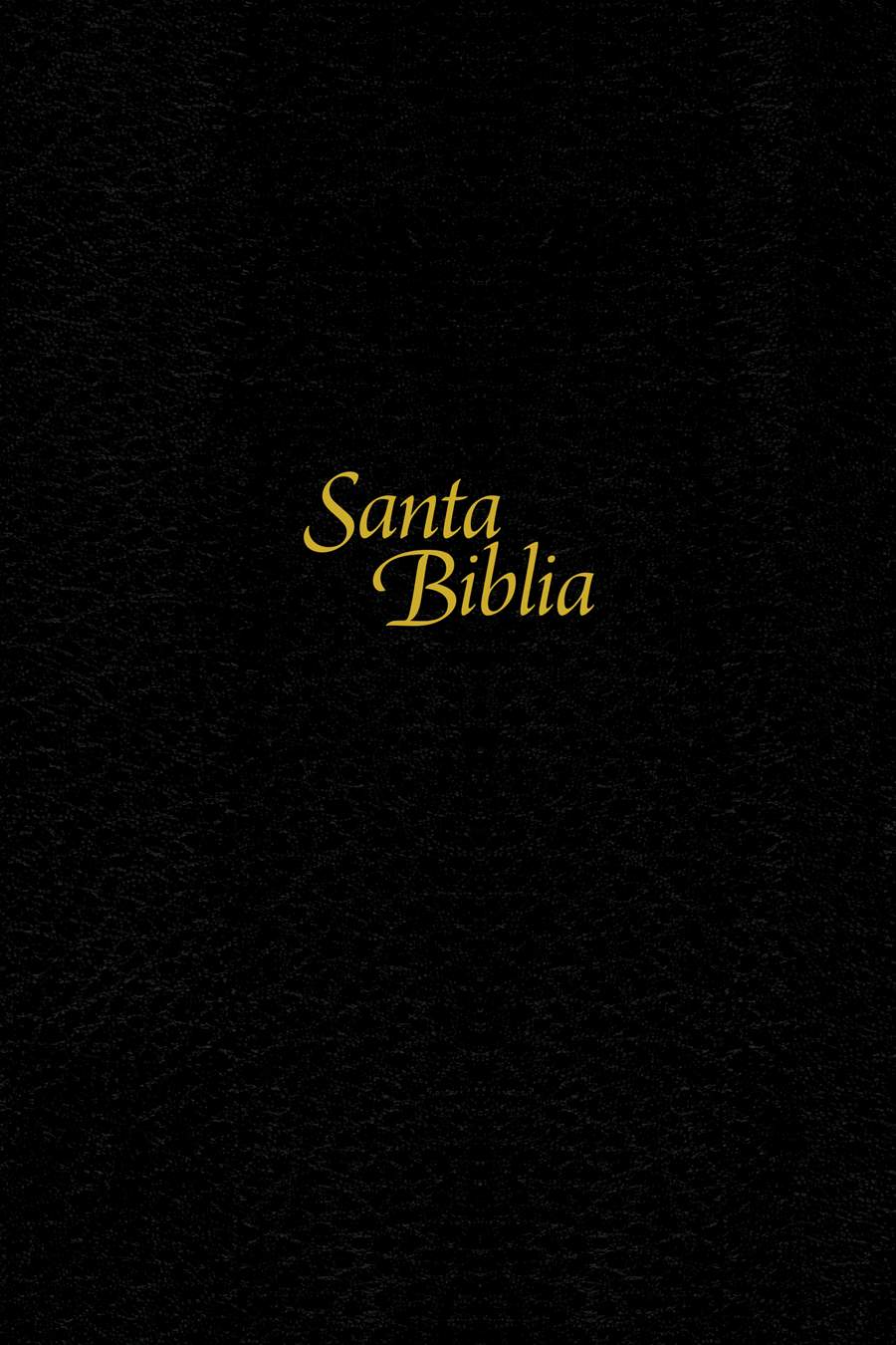 Biblia NTV Letra Grande Tapa Dura Negra